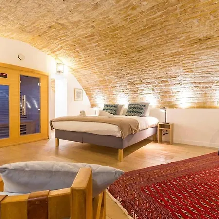Apartment Le Cellier Des Ducs - Sauna Et Balneotherapie