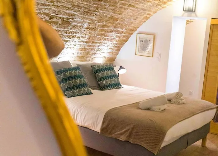 Le Cellier Des Ducs - Sauna Et Balneotherapie Apartment Dijon